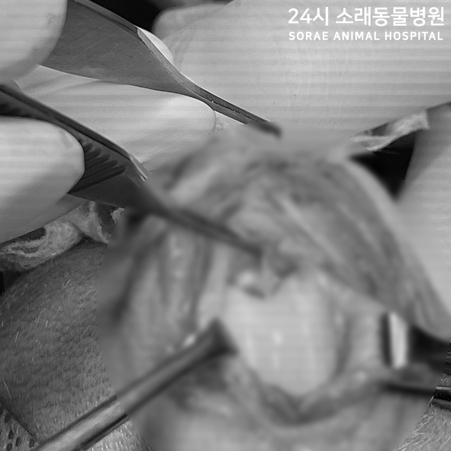 5d731fe3c581d9cdf1a8dff00152a1ca_1751936261_25.jpg